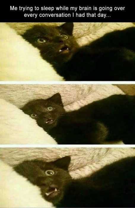 Funny Lol Pictures  Going Over Things