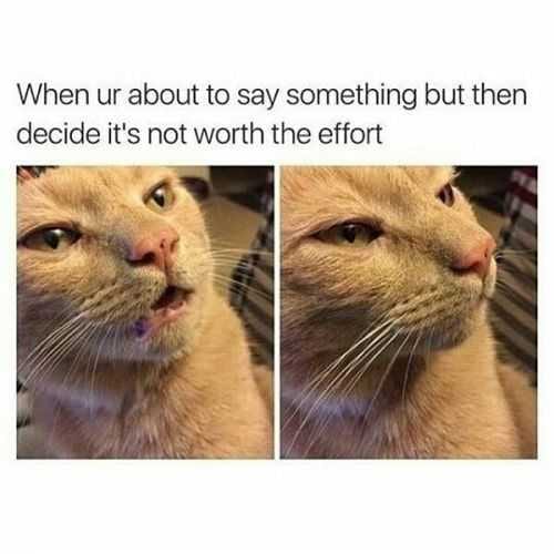 Funny Lol Picture  Not Worth It