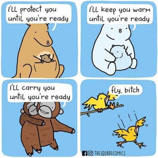 Hilarious Funny Pictures Birds Are Cruel