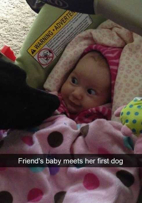 Funny Kid Pictures Baby Meeting Dog For First Time
