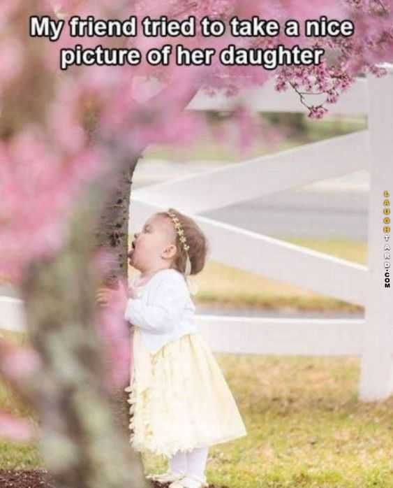 Funny Kid Pictures Licking Trees