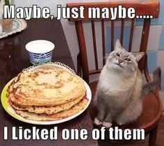 Funny Lol Pictures  Which One?