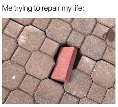 Funny Memes Pictures Improvising?