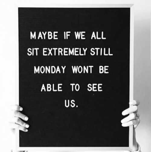 Short Snappy Funny Quotes Monday