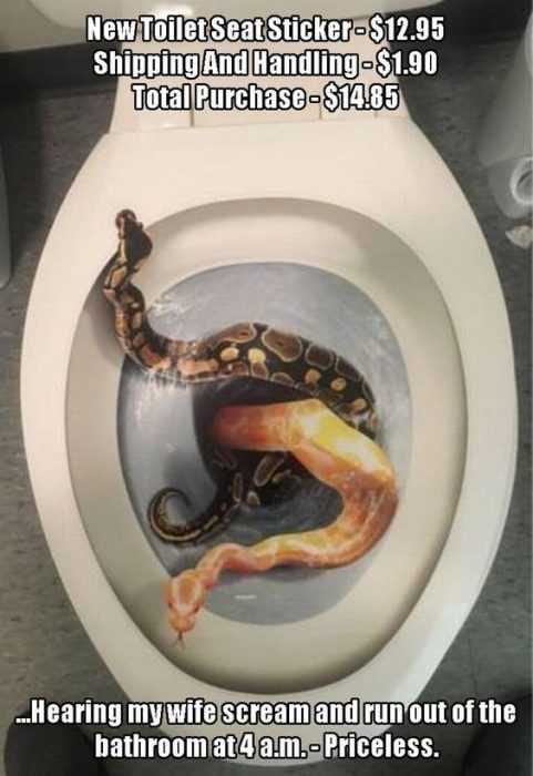 Funny Lol Pictures  Snakes