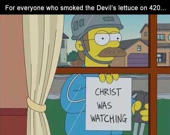 Funny Lol Pictures  Devil's Lettuce