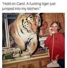 24 Hilarious Animal Pictures With Captions Tiger King