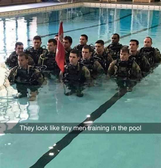 Funny Lol Pictures  Training