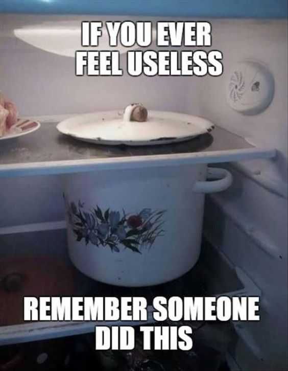 Funny Memes Pictures Fridge Fails
