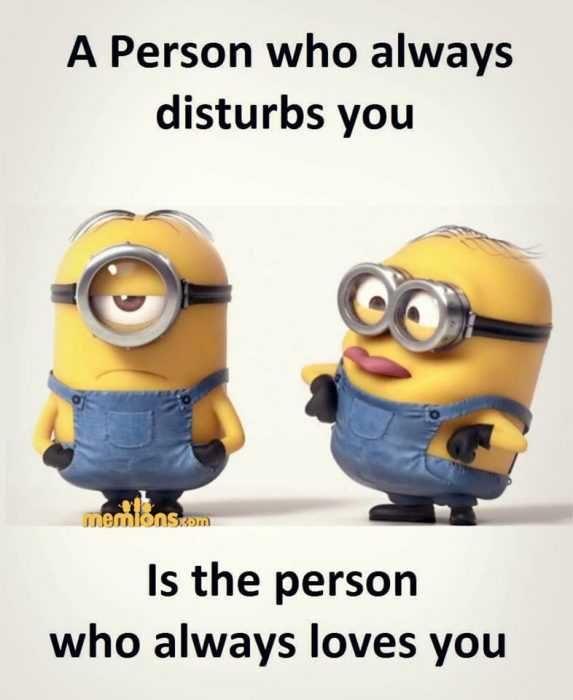 Minion Wisdom Quotes Disturbed