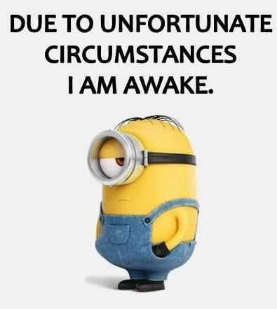 Minion Wisdom Quotes Awake