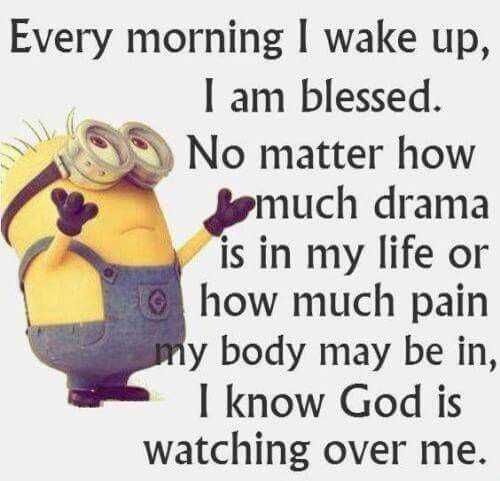 Minion Wisdom Blessed