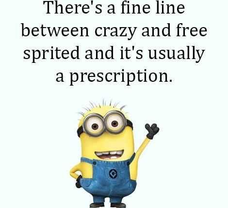 Minion Wisdom Quotes Crazy