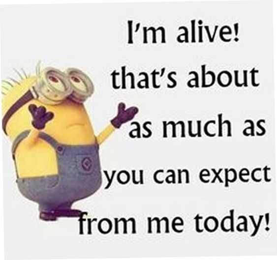 Sarcastic Minion Quote Alive