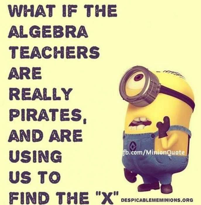 Sarcastic Minion Quote Algebra Teachers
