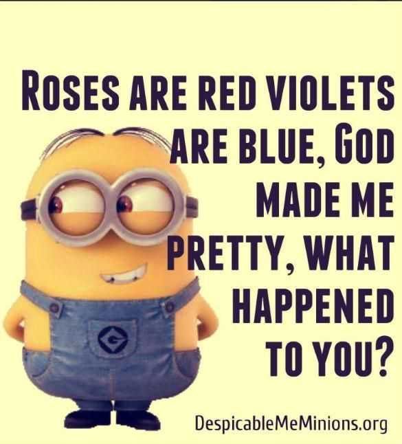 Funny Minion Quotes Roses
