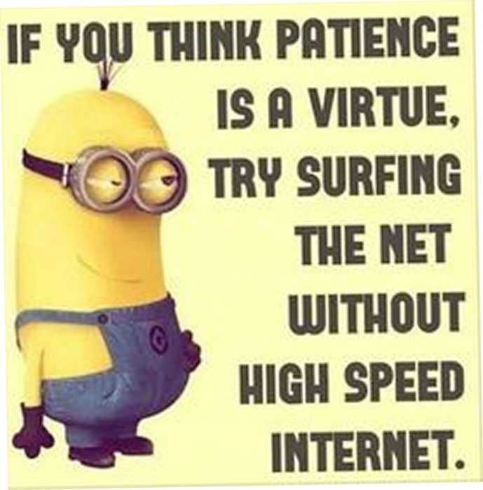 Sarcastic Minion Quote Patience