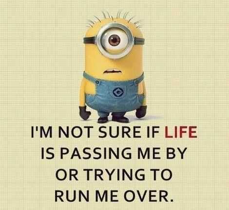 Funny Minion Quotes Life