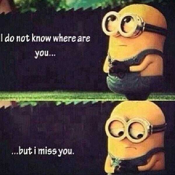 Funny Minion Quotes Miss You