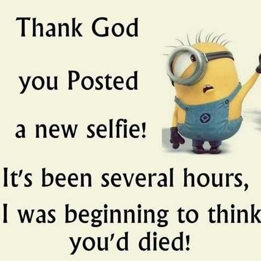 Minion Wisdom Quotes Selfies