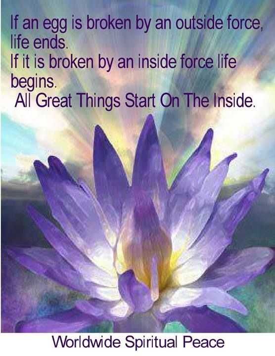New Soulful Quote Broken Eggs