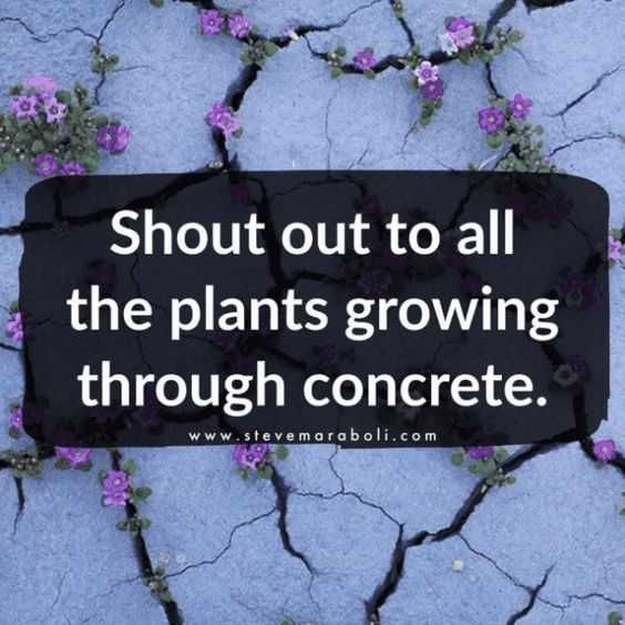 Wonderful Quotes Shoult Out