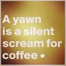 Funny Social Share Quotes  Silent Scream