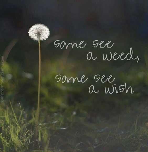 Quotes For Inspiring You