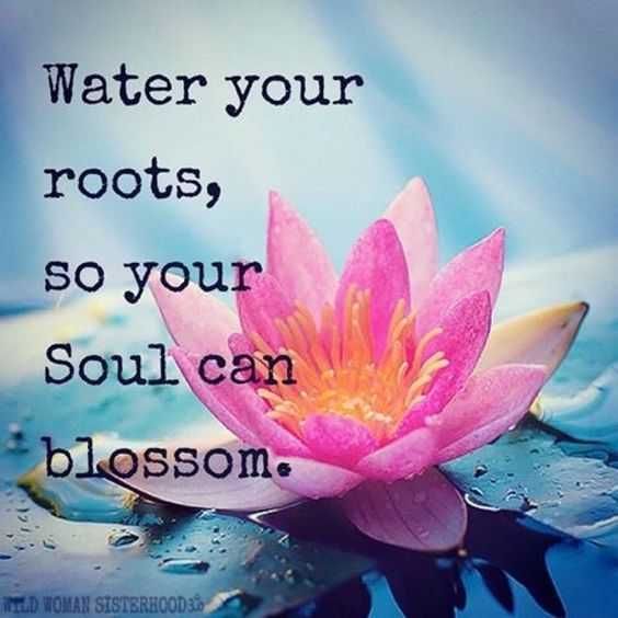 Soulful Quotes Roots