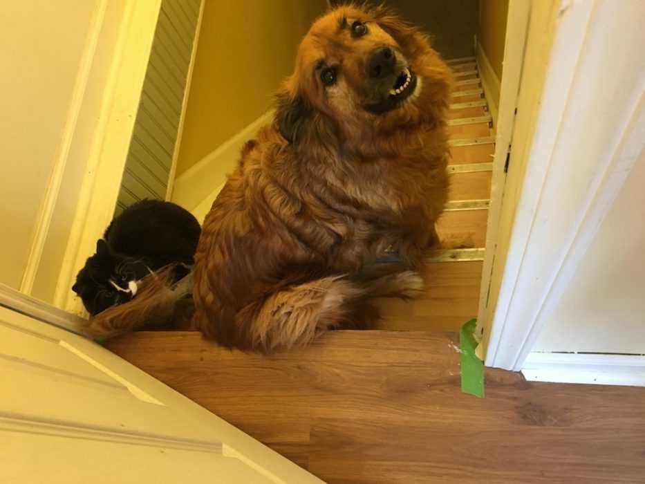 Best Friends