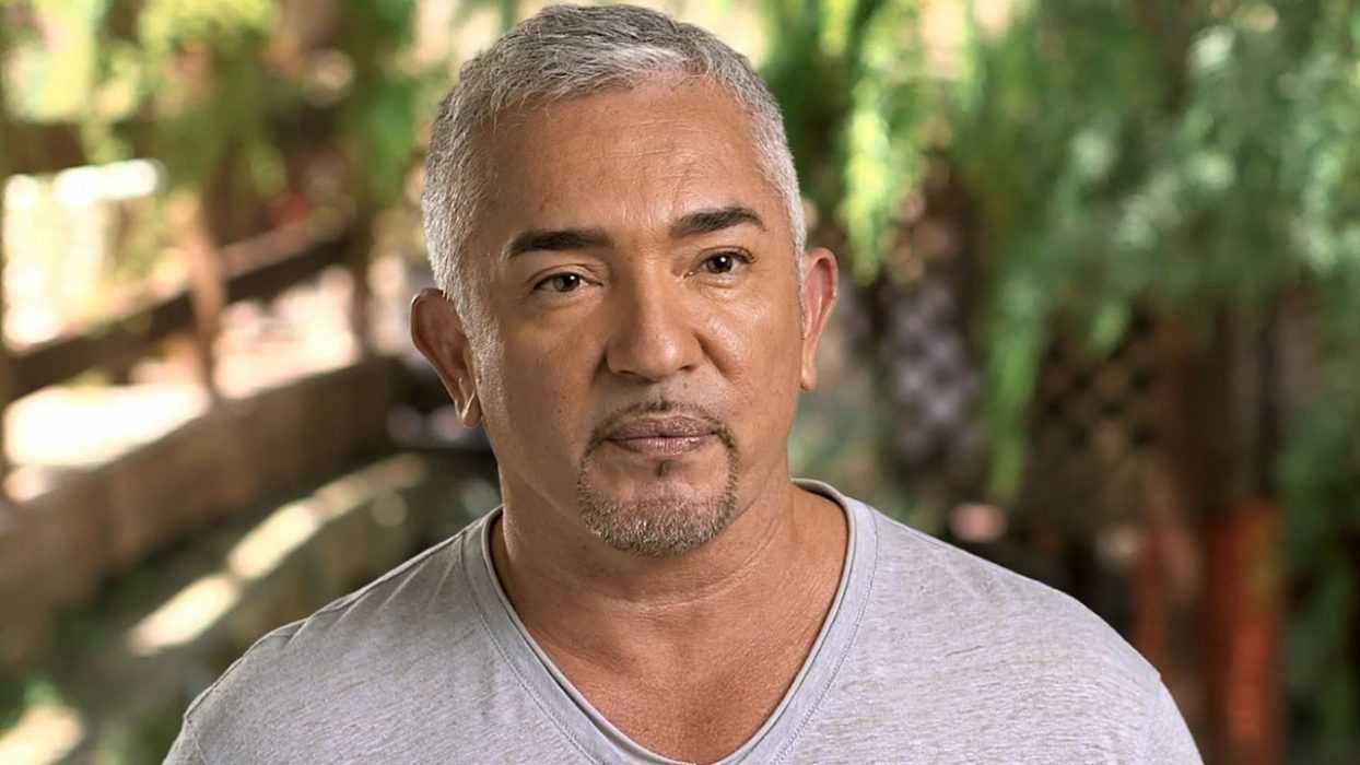 Cesar
