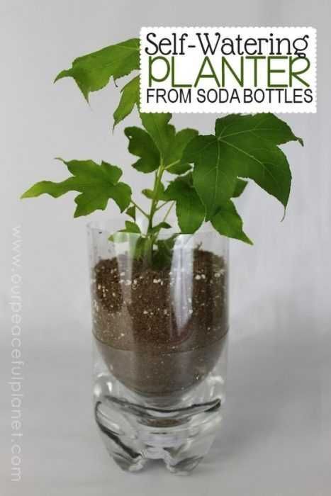 Upcycling Projects Self Watering Planter