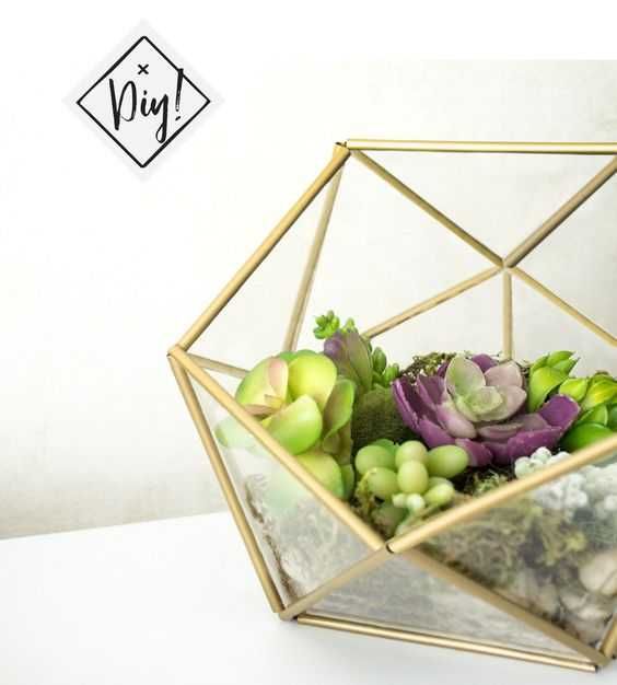 Diy Terarrium
