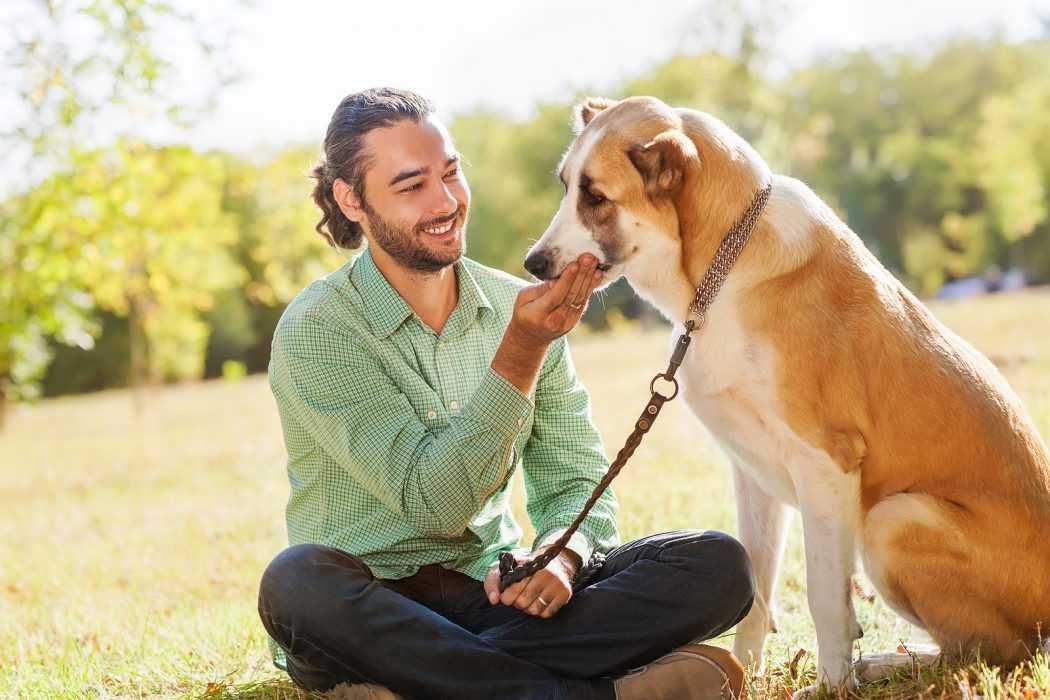 Dog Owner