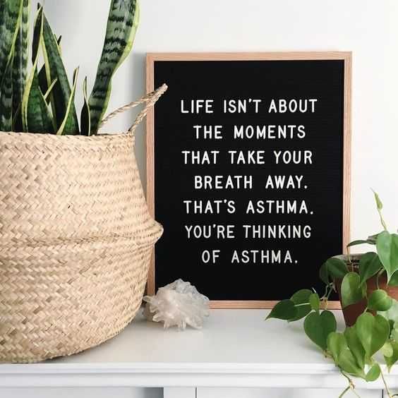 Hilarious Letterboard Quotes 1
