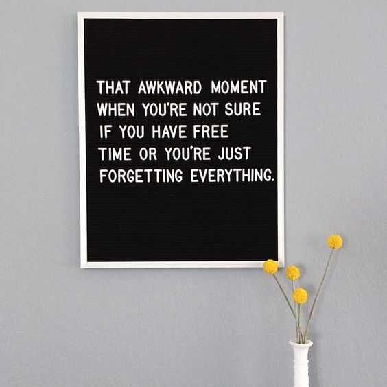 Hilarious Letterboard Quotes 2