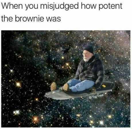 Hilarious Funny Images Not Your Regular Brownie