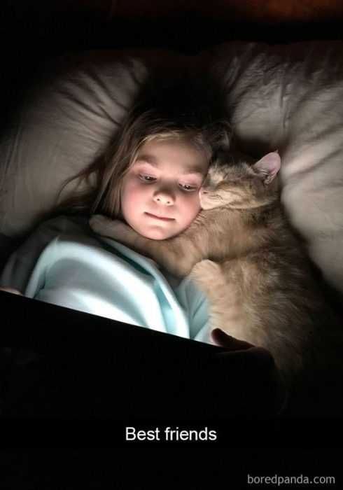 Funny Cat Snapchats Besties
