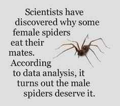 Funny Deserve It