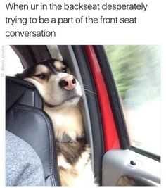 Hilarious And Funny Memes  I'm Here Please Talk To Me Too!