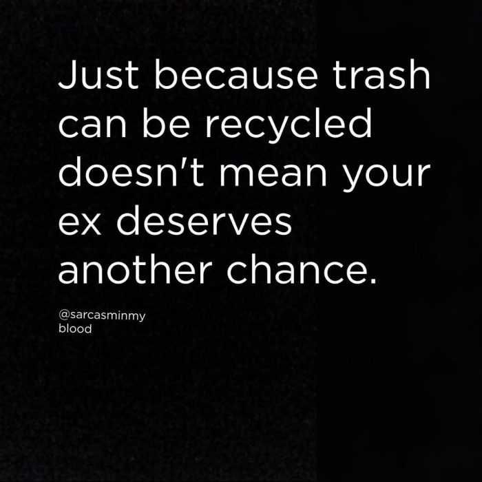 Snarky Funny Quotes Trash