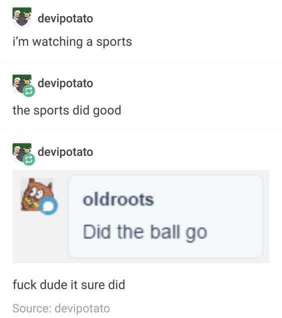 Hilarious And Funny Memes  Sports For Dogs