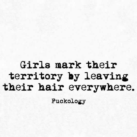 Funny Hair Everywhere