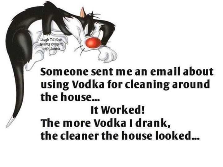 Snarky Funny Quotes Vodka