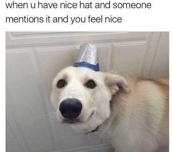 Hilarious And Funny Memes  Those Eyes Says It All