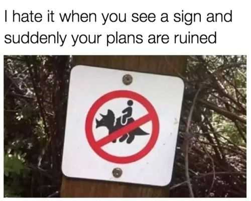 Funny Plans Ruined