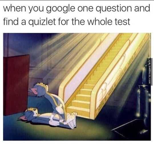 Funny Quizlet