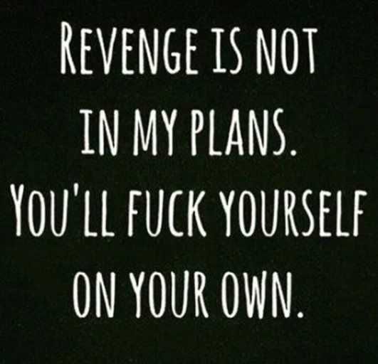 Snappy Quotes  Revenge