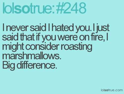 Funny Roasting Marshmallows