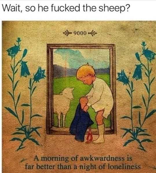 Funny Sheep
